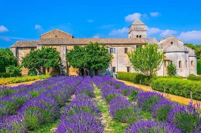 Private Tour of Provence between Castle, Village, and Olive Grove