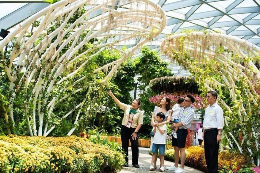 Jewel Changi Airport Canopy Park Tickets