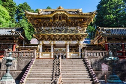 Nikko Private Custom Tour med lokal guide