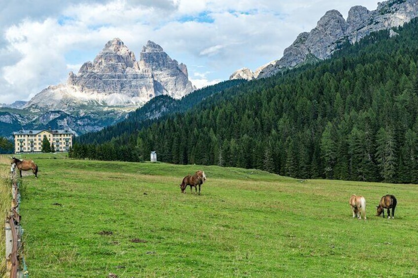 Private Hiking to the Three Peaks, Misurina and Braies da Cortina