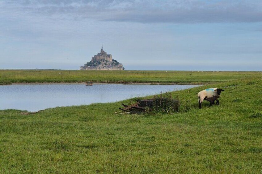 Private Tour in Mont St Michel and Normandy Coast