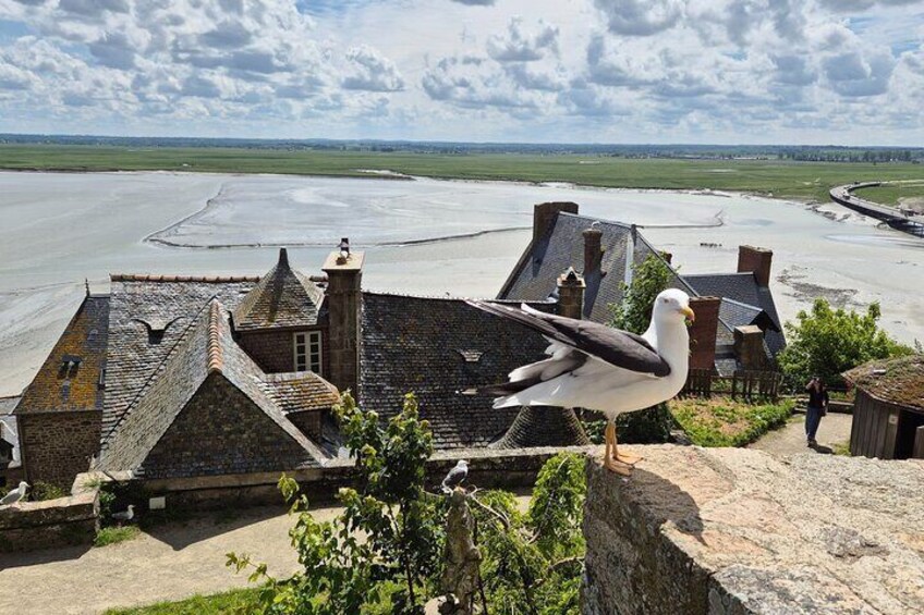 Private Tour in Mont St Michel and Normandy Coast