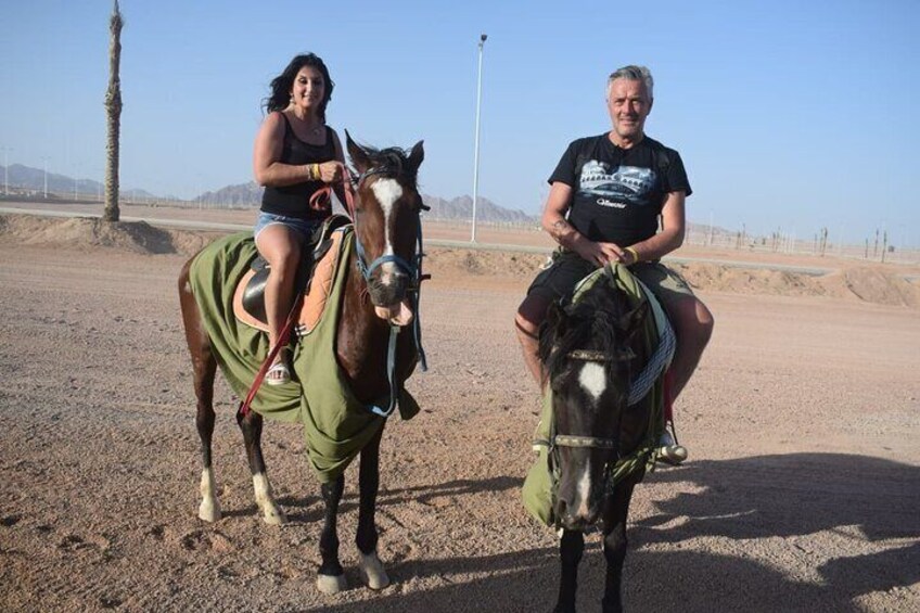 Horseback Ride, Egyptian Show & Bedouin Dinner - Sharm El Sheikh