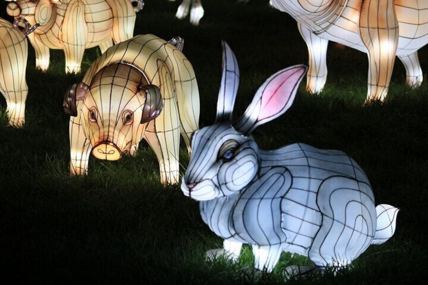 Washington DC: Winter Lantern Festival Admission Ticket