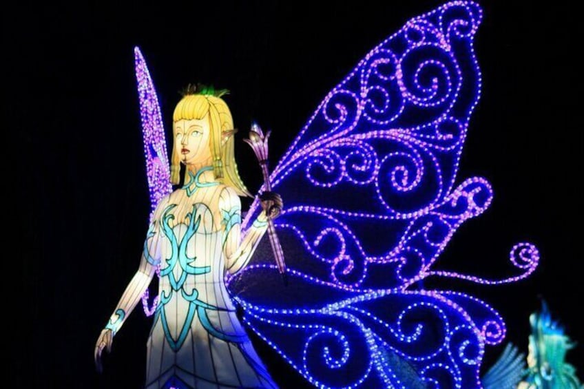 Washington DC: Winter Lantern Festival Admission Ticket