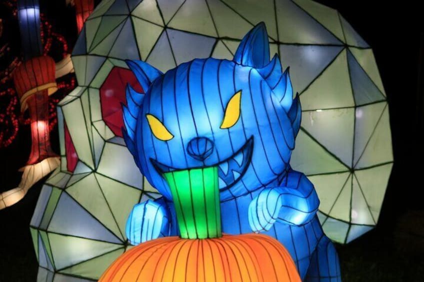 Washington DC: Winter Lantern Festival Admission Ticket