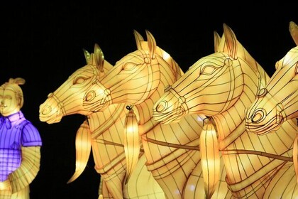 Washington DC: Winter Lantern Festival Admission Ticket