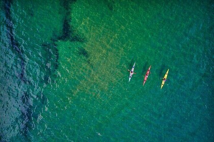 Sick Day Midweek Kayak Tour on Tomales Bay