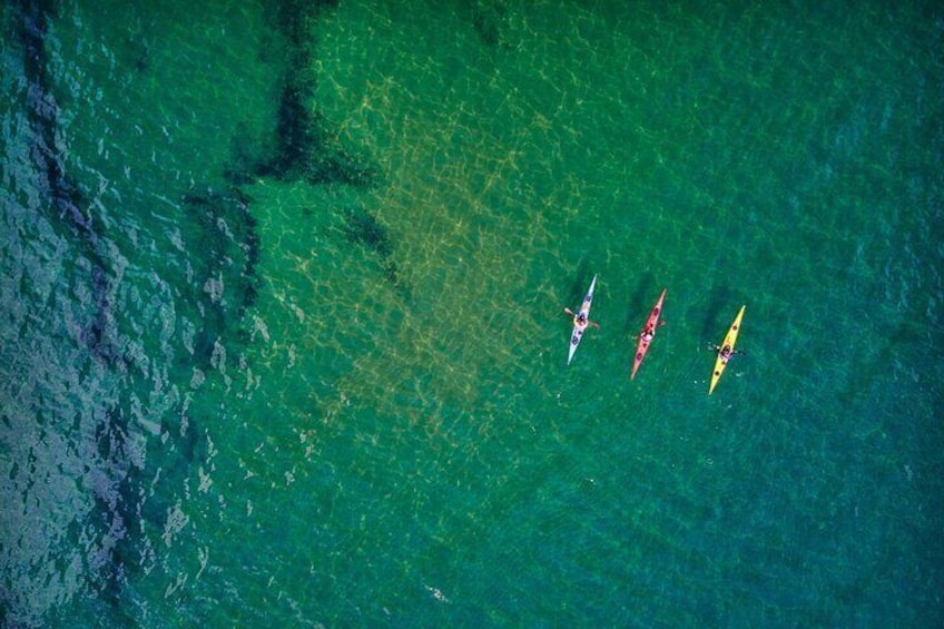 "Sick Day" Mid-Week Kayaking Tour on Tomales Bay