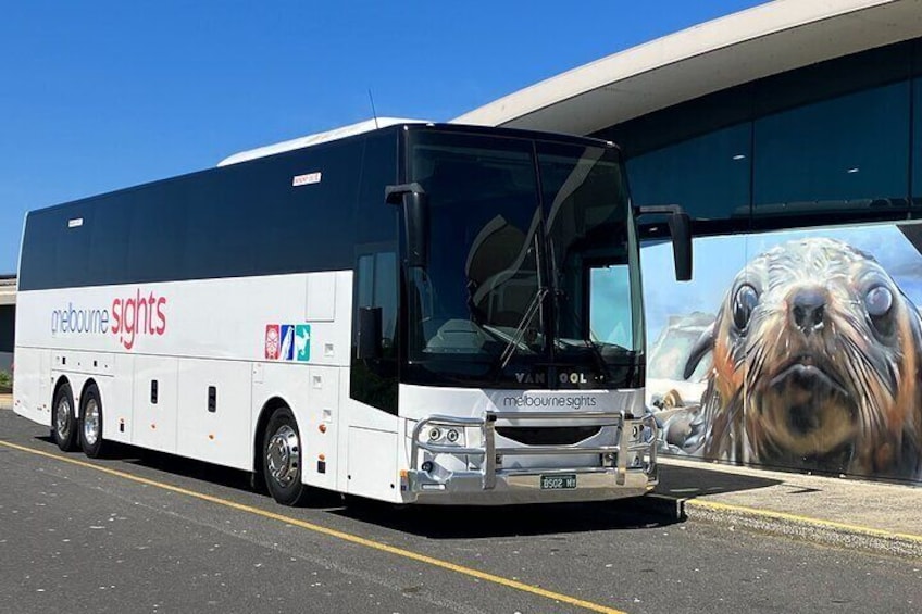 Premium coach travel
