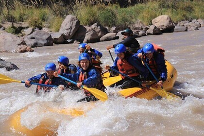 Mendoza Adventure with Rafting and Asado Lunch