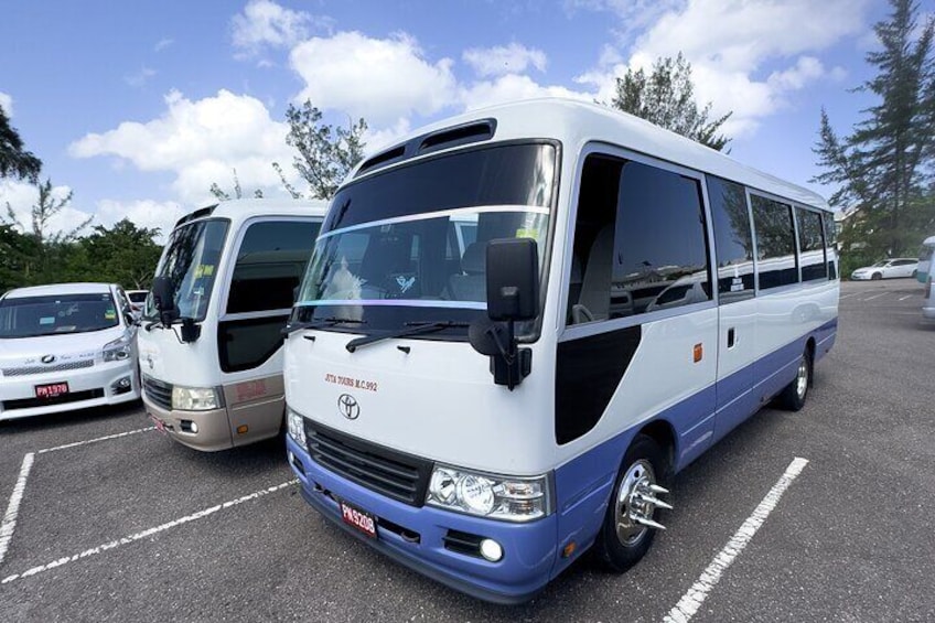 Montego Bay City highlight And Souvenir Shopping Group Tour