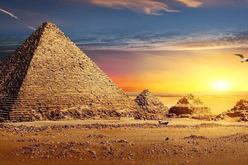 Cairo Private Day Tour from Alexandria Port|
