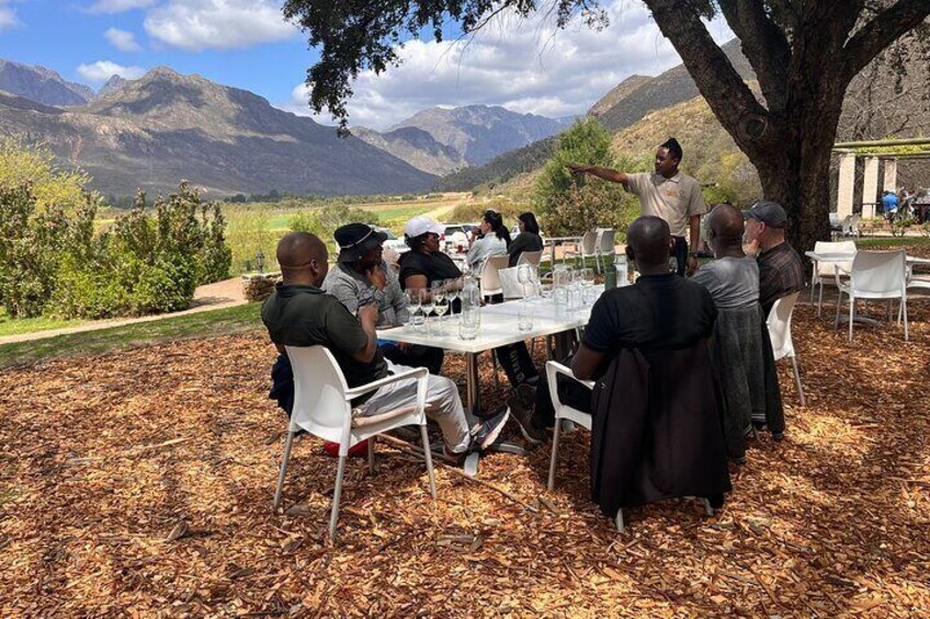 Franschhoek Wine Walk with Lunch