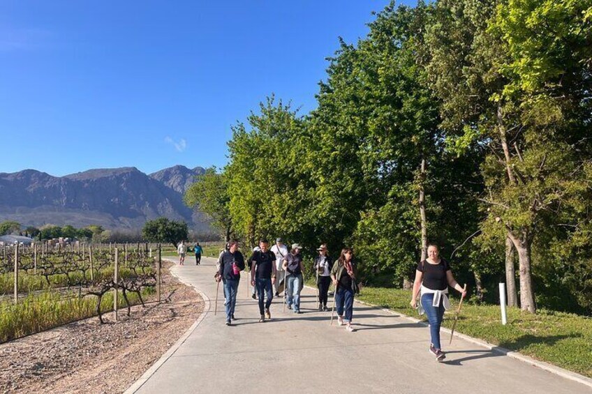 Franschhoek Wine Walk with Lunch