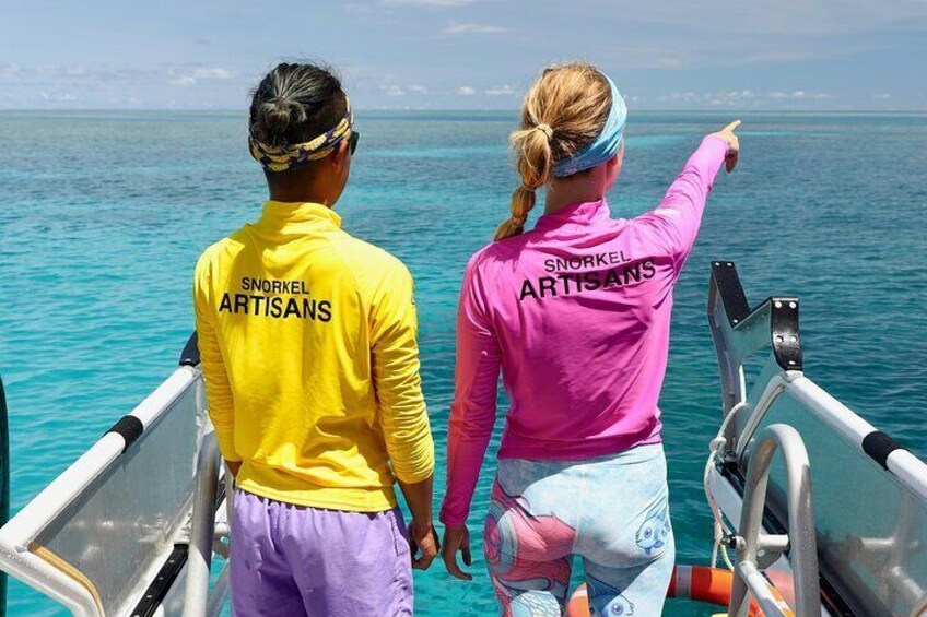 Half Day Great Barrier Reef Snorkeling Trip