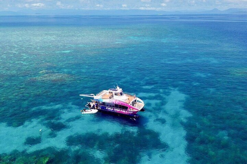 Pure Snorkelling has 15 exclusive snorkel locations of off Cairns across 8 different reefs! The most of any snorkel boat in the region.