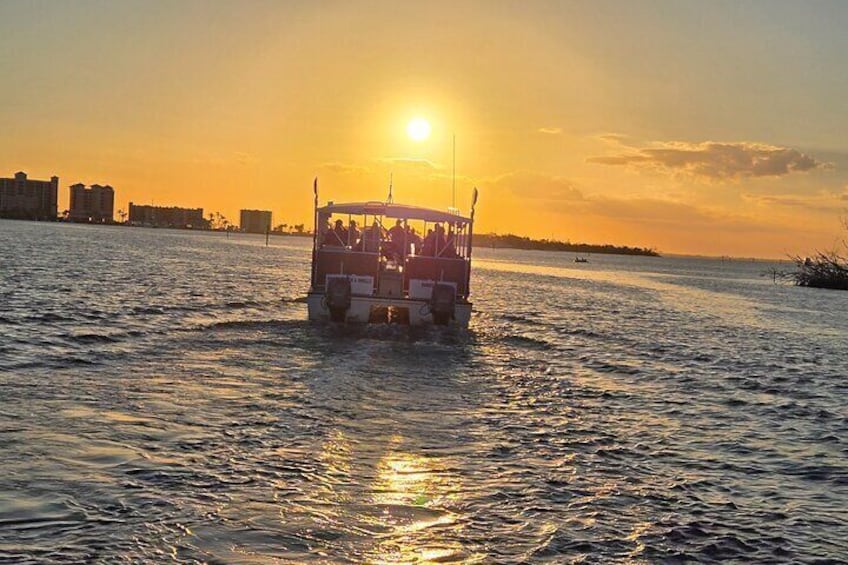 Fort Myers Beach Sightseeing with Shark Teeth and Shelling Tour