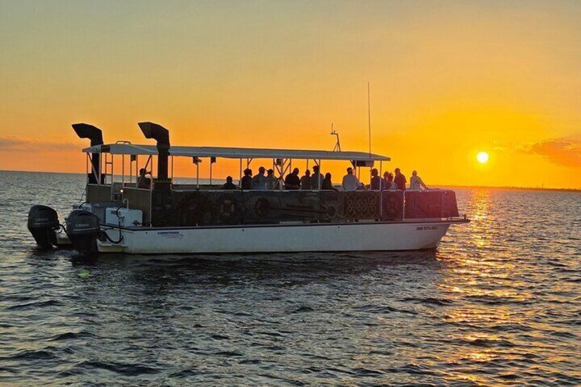 Fort Myers Beach Sightseeing with Shark Teeth and Shelling Tour