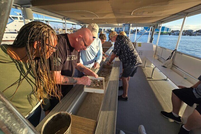 Fort Myers Beach Sightseeing with Shark Teeth and Shelling Tour