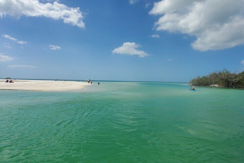 Fort Myers Beach Sightseeing with Shark Teeth and Shelling Tour