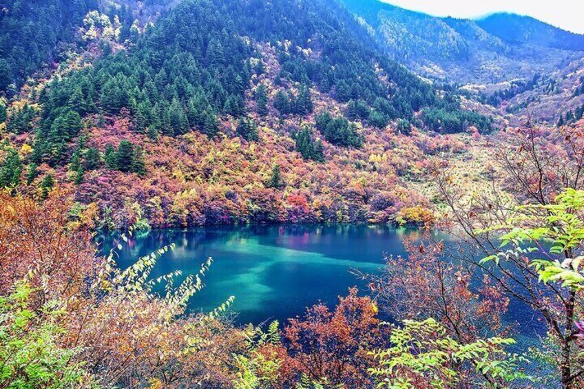 Three-day private tour to Jiuzhaigou by high-speed rail