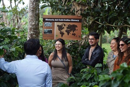 Coffee Plantation Shared Tour by Locals
