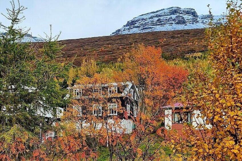 Eskifjörður Willage Walking Tour