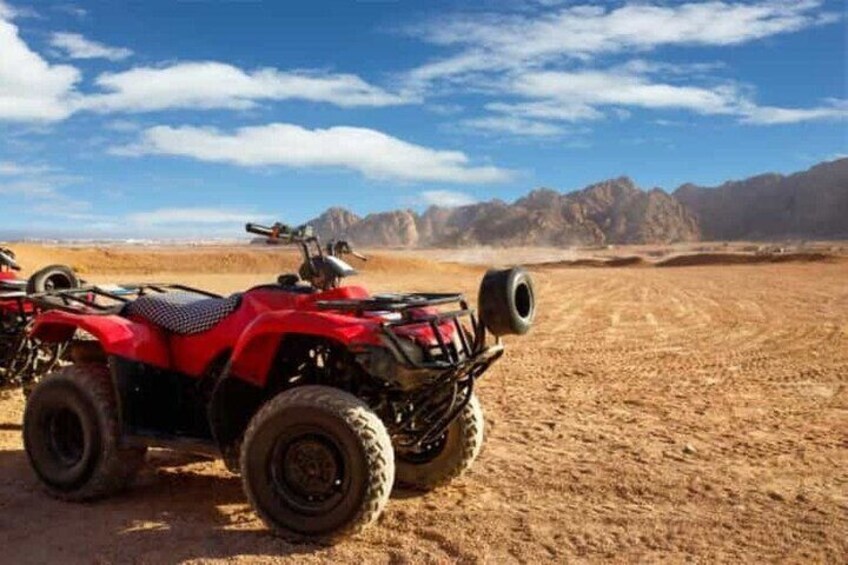 Hurghada: Stargazing by ATV, Camel, Horse, Dinner & Show