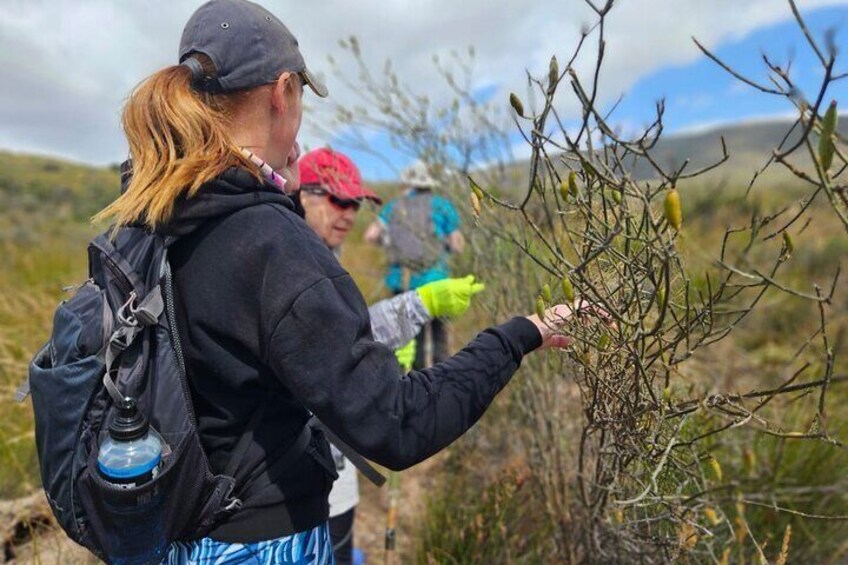 1 Day Guided Private Wine Walk Trails and Fossil Hunt