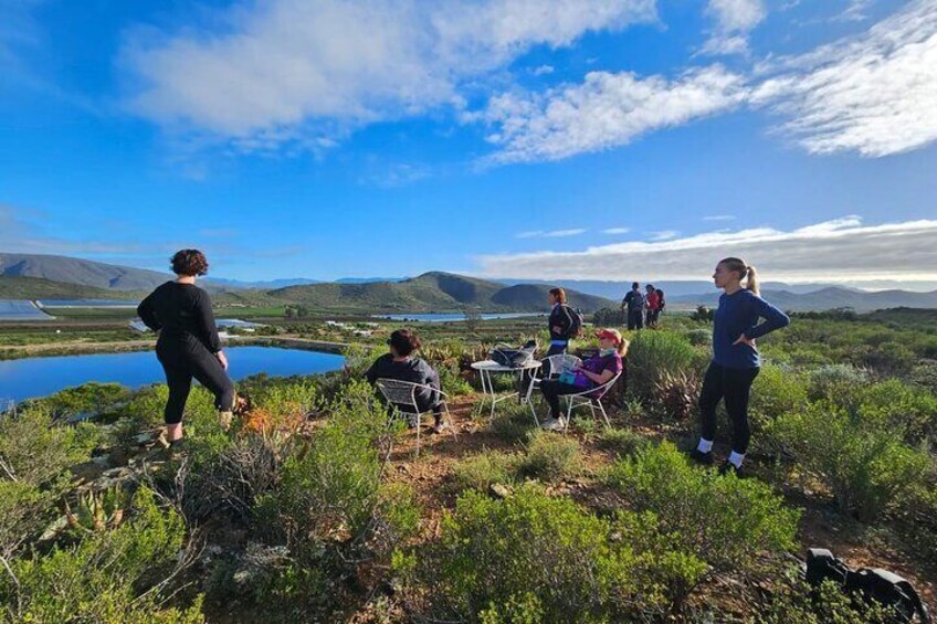 1 Day Guided Private Wine Walk Trails and Fossil Hunt