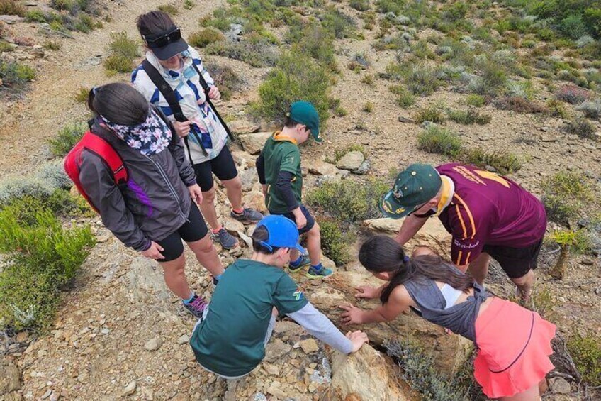 1 Day Guided Private Wine Walk Trails and Fossil Hunt