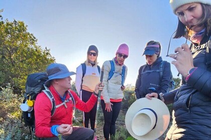 1 jour de promenade guidée privée sur les vins et chasse aux fossiles