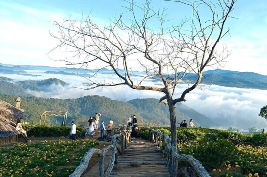 Cloud Watching & The Glow of Dawn In Da Lat From 4am to 9am