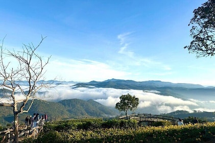 Cloud Watching & The Glow of Dawn In Da Lat From 4am to 9am