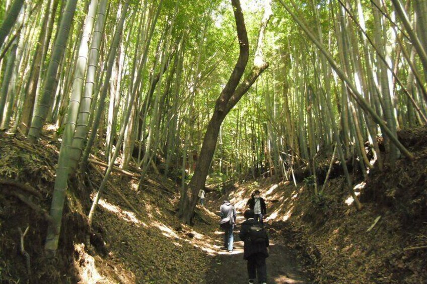 Near the main gate (entrance) ※The following photos are of Takiyama Castle.