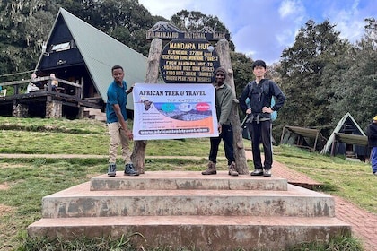 Kilimanjaro Climbing Day Hiking via Marangu Route