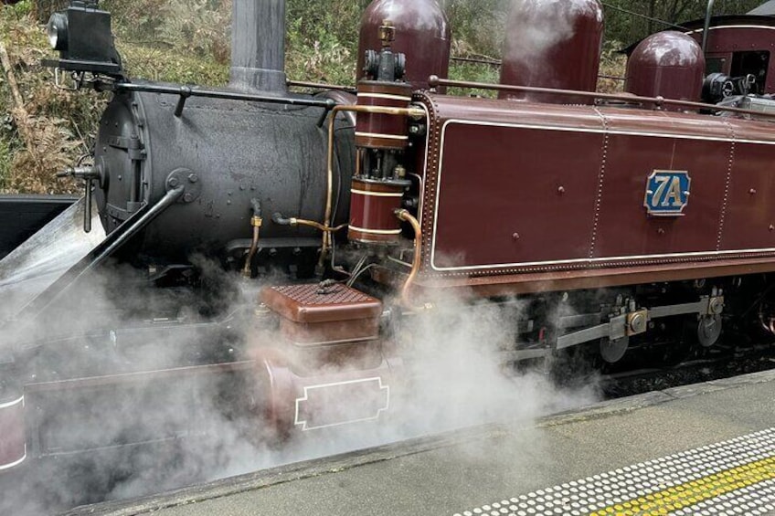 Puffing Billy Steam Train Ride