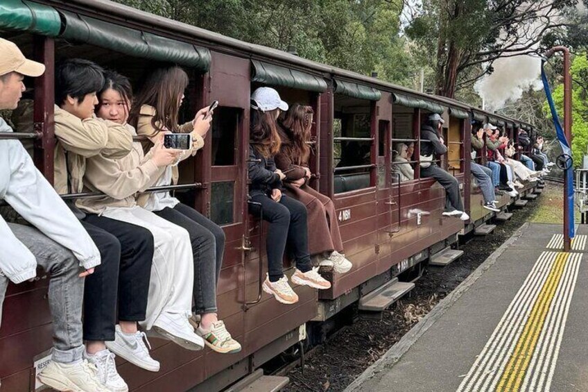 Puffing Billy Steam Train Ride