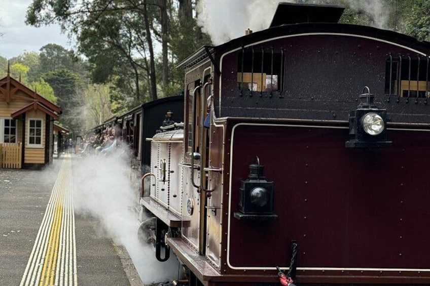 Puffing Billy Steam Train Ride