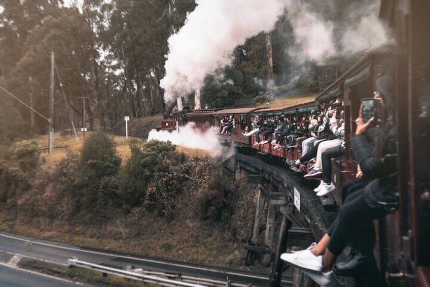 Puffing Billy Steam Train Ride