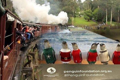 Private Puffing Billy Steam Train Ride and Phillip Island Tours