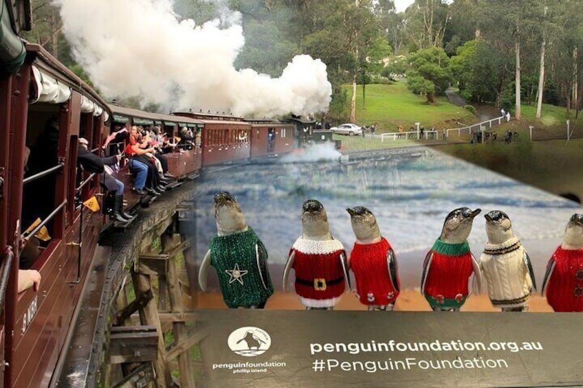 Private Puffing Billy Steam Train Ride and Phillip Island Tours