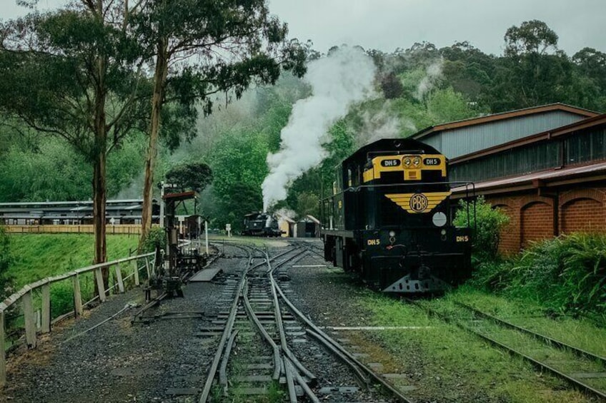 Puffing Billy Steam Train Ride