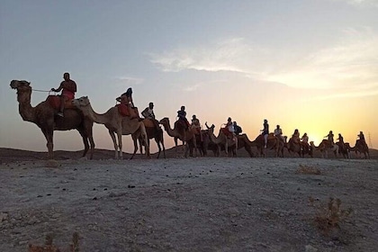 The magic of Aagafay desert in half day (Quad/camel/dinner)