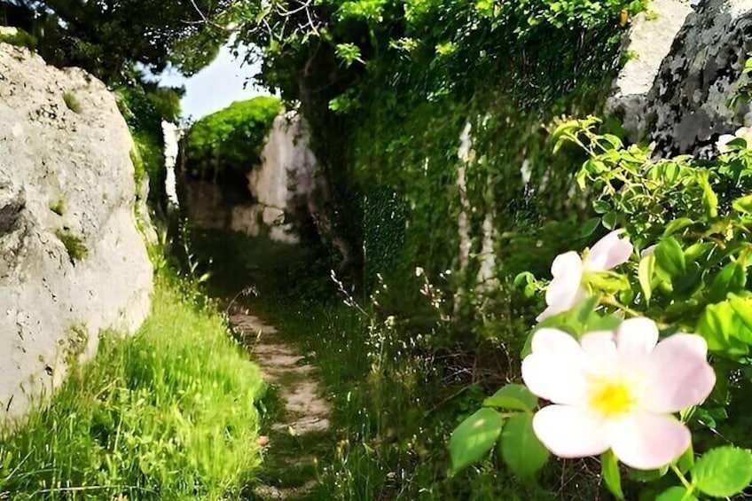 Shared tour in the UNESCO Park of Murgia Materana