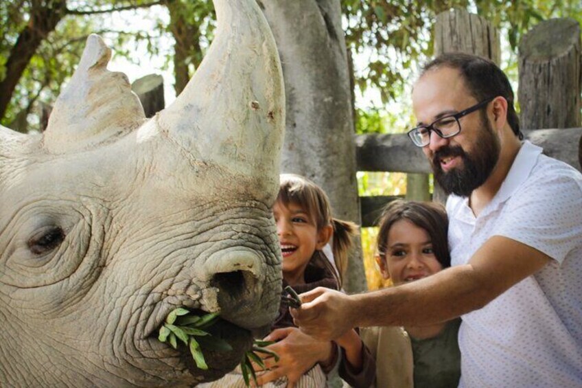 Tour Africam Safari in Puebla