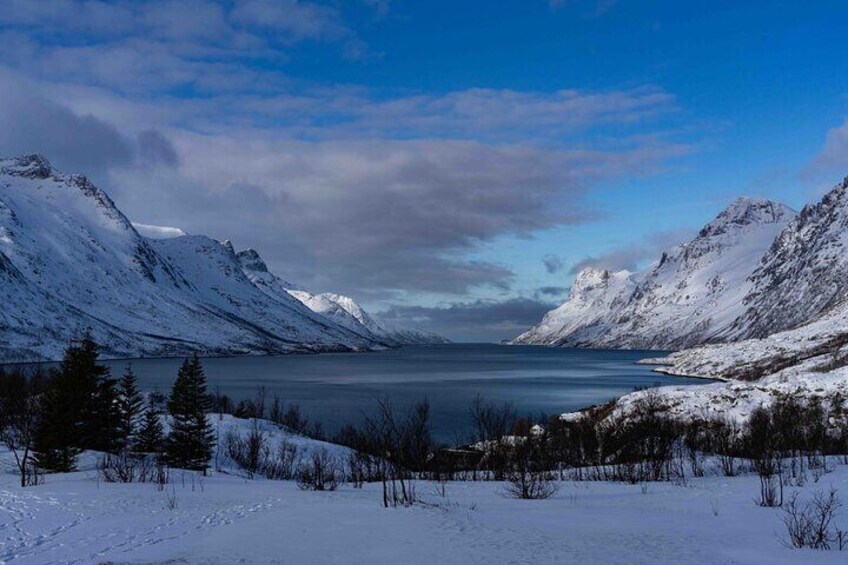 Fjords Tour with campfire and photos