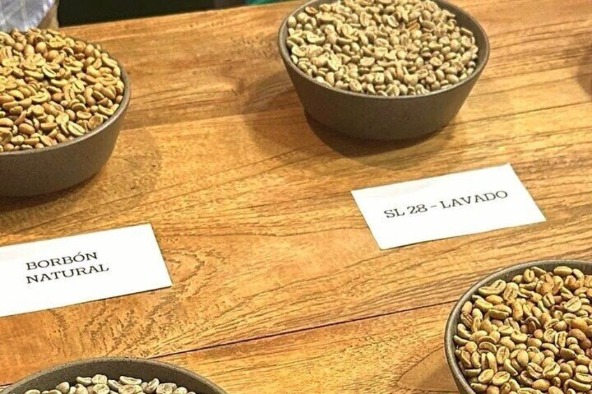 Different types of unroasted green coffee to understand their differences