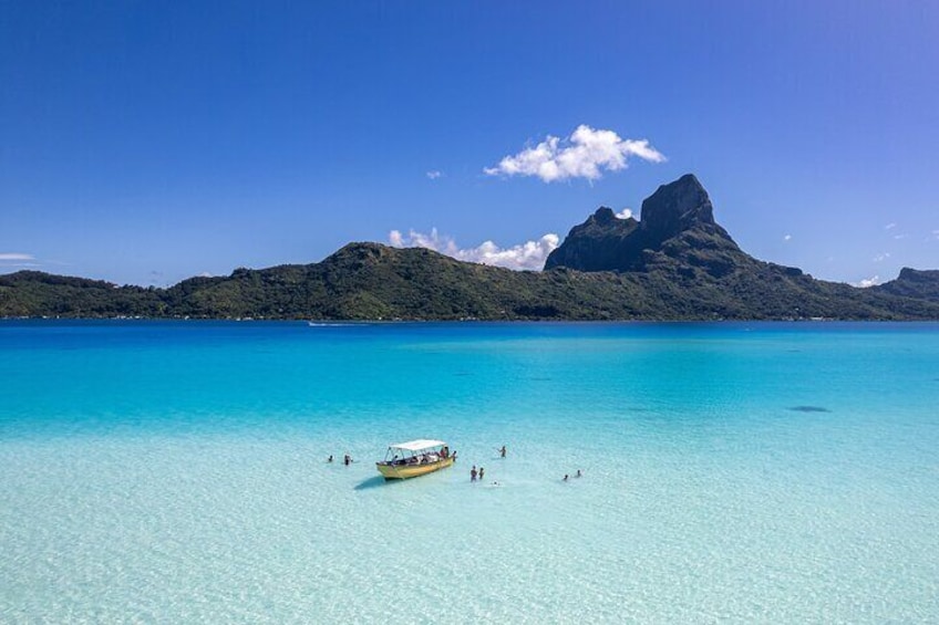 lagoon tour/FULLDAY TOUR/excursions/polynesian meal/shark/manta rays/coral garden/island tour/motu fanfan/relax time/exploration/eagle rays/leopard ray/adventure/coco show/center activitie
